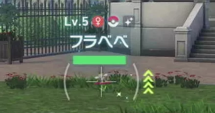 色違いフラベベ