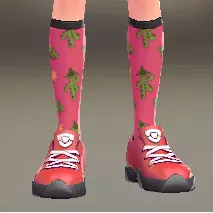 カクタスハイソックス