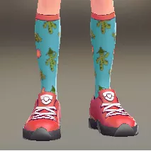 カクタスハイソックス