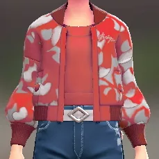 ブルゾン＆オフショルセット