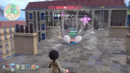 チルットのマップ