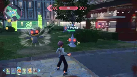 カゲボウズ画像