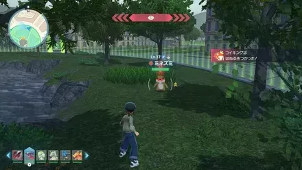 ミネズミのマップ