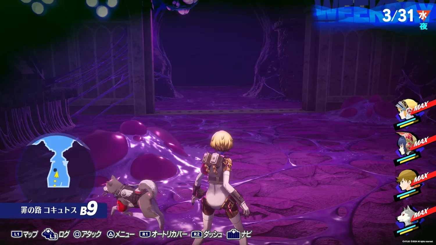 ある程度レベリングが出来たら敵を避けて進む