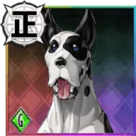 ダニー【最高の友達】