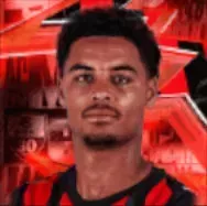 HPコニ・デ・ヴィンテル(10/23)の画像