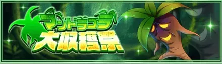 マンドラゴラ収穫祭