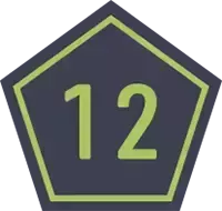 ワイルドゾーン12