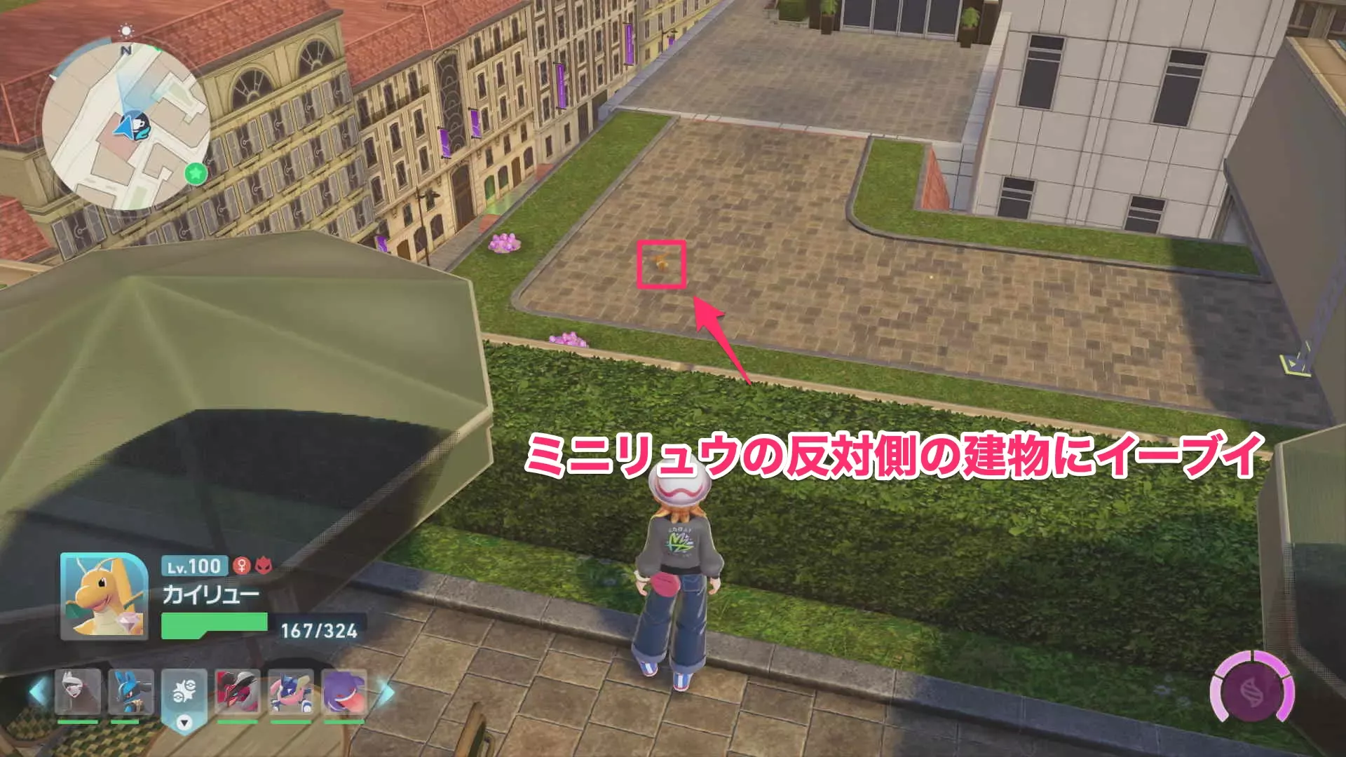 イーブイの位置