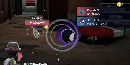 ダンバルの捕まえ方の手順3