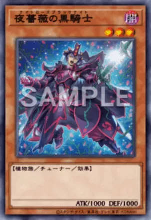 夜薔薇の黒騎士の画像