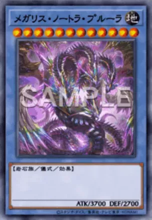 メガリス・ノートラ・プルーラ画像