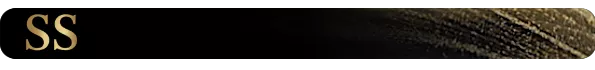 SSバナー