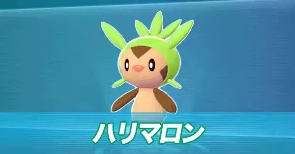 ポケモンZA】ハリマロンの進化とおすすめ性格・出現場所【ポケモン