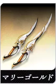 マリーゴールドの画像