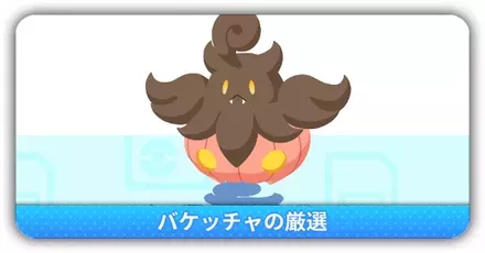 バケッチャの厳選