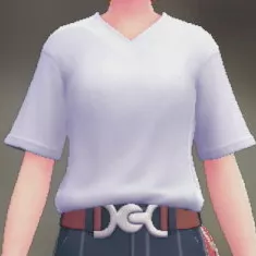 VネックTシャツ