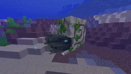 ゾンビオウムガイ