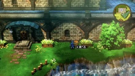 ラックのたねの入手の様子