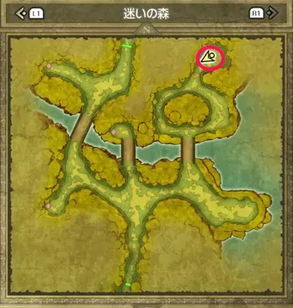 迷いの森の不滅の炎