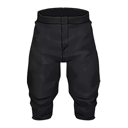 守護者のボトムス【希少】