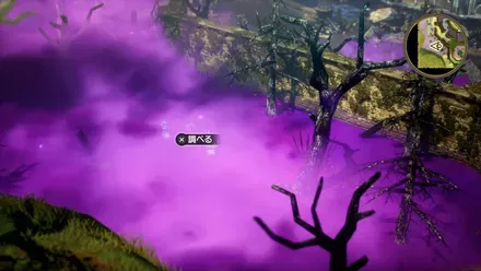 ふしぎなきのみの入手の様子