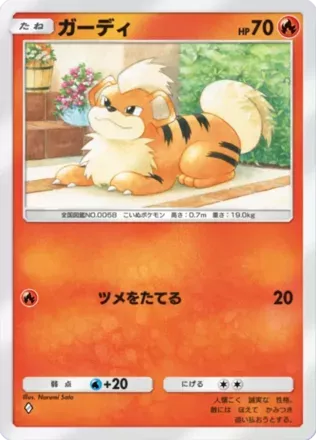 ガーディ（B1-028/226）