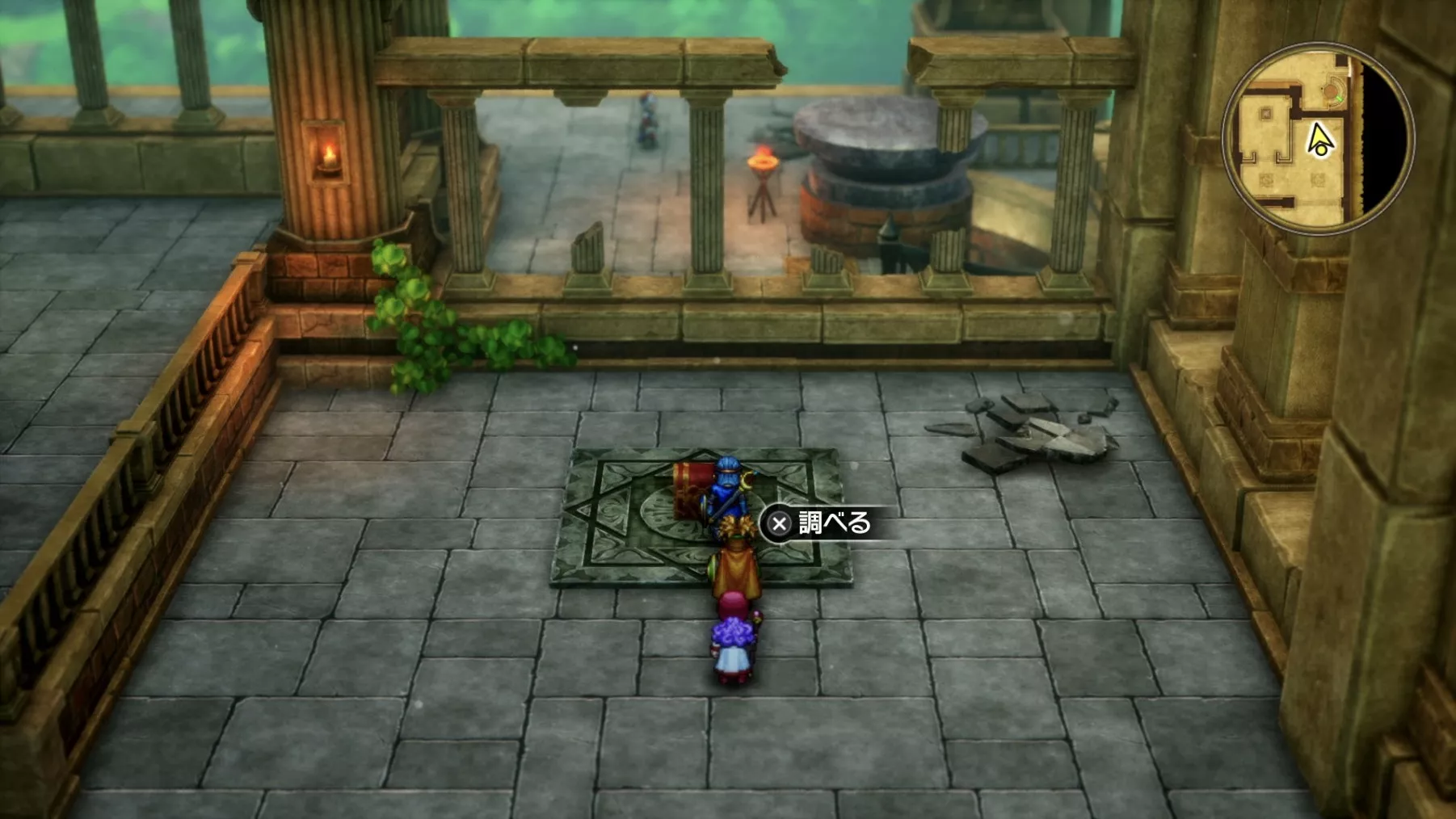 とげのムチの入手している見た目