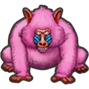 ヒババンゴ画像