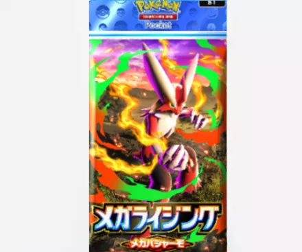 メガライジングバシャーモ画像