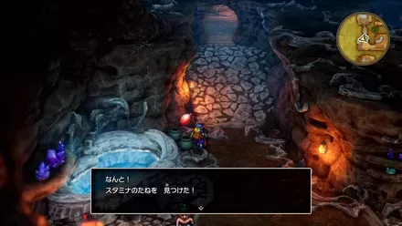 スタミナのたね