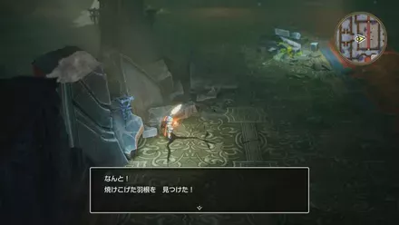 焼けこげた羽根