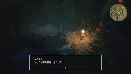 かしこさのたね