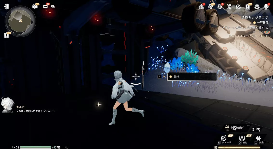 デナアビ鉄砲とツヅラフジ27