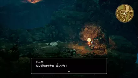 ふしぎなきのみ