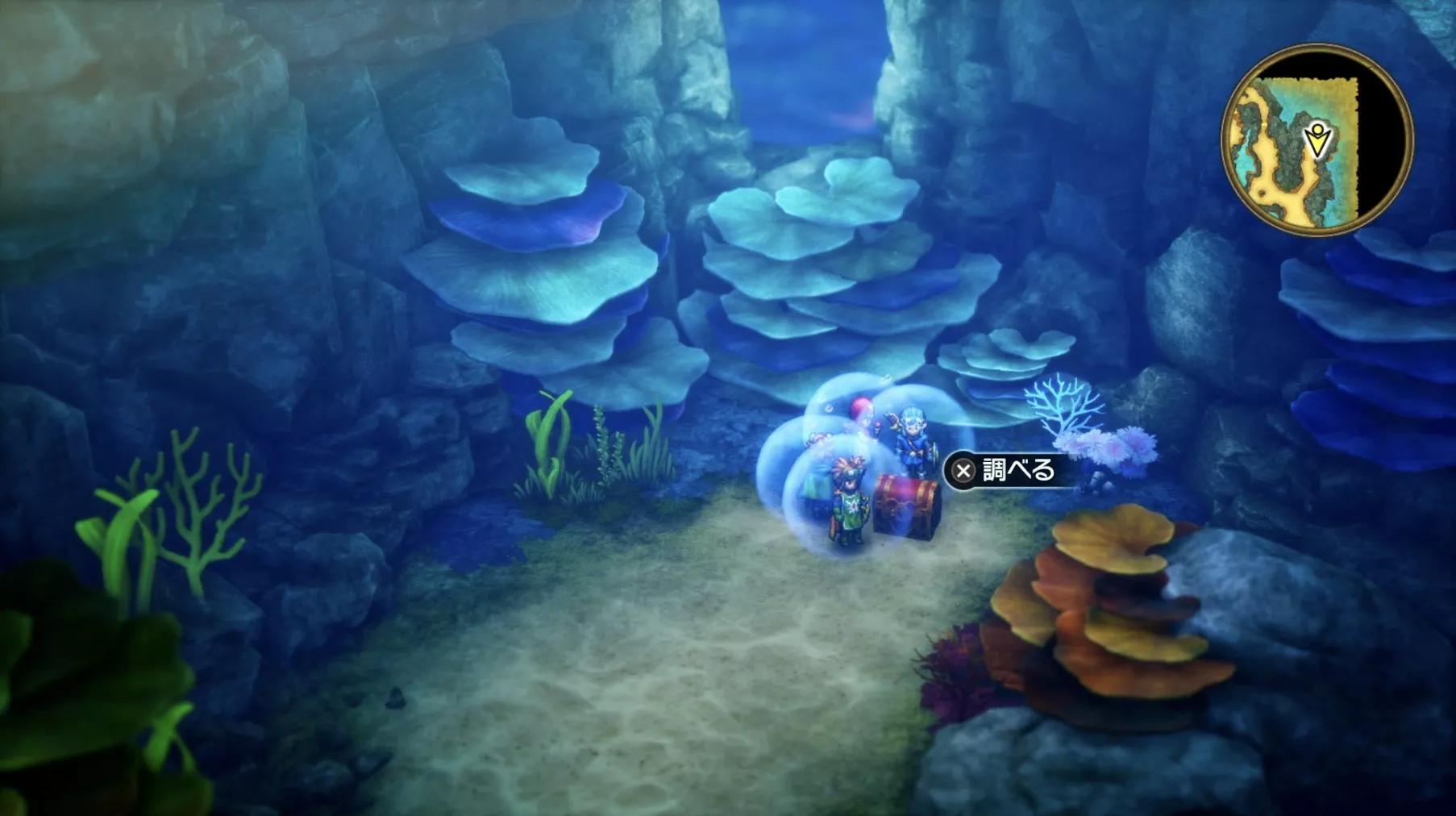 まんげつのリングの入手している見た目