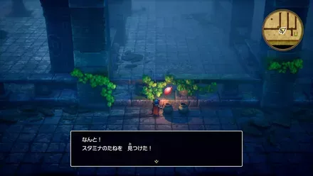 スタミナのたね