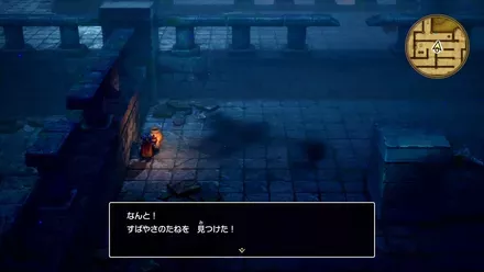 すばやさのたね