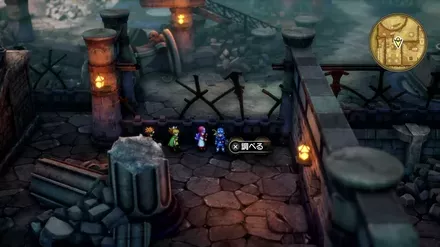 マヌーハそうの入手の様子