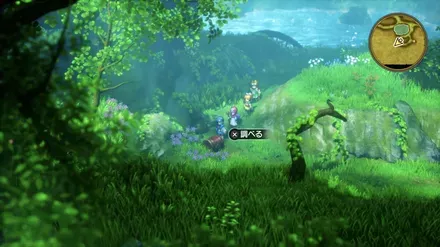 ラックのたねの入手の様子