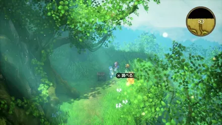 ふしぎなきのみの入手の様子