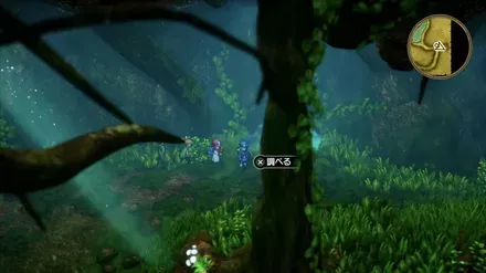 命の石の入手の様子