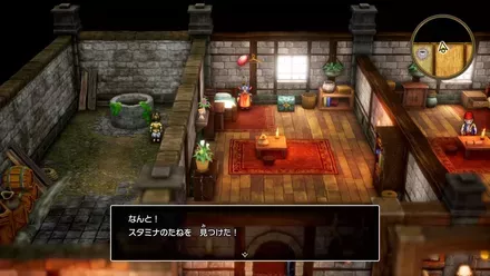 スタミナのたね