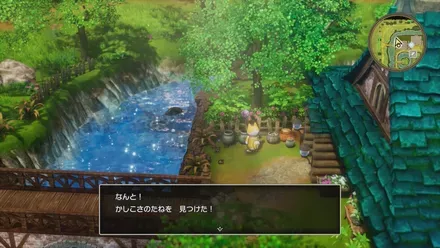 かしこさのたね