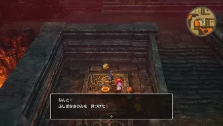 ふしぎなきのみの入手の様子