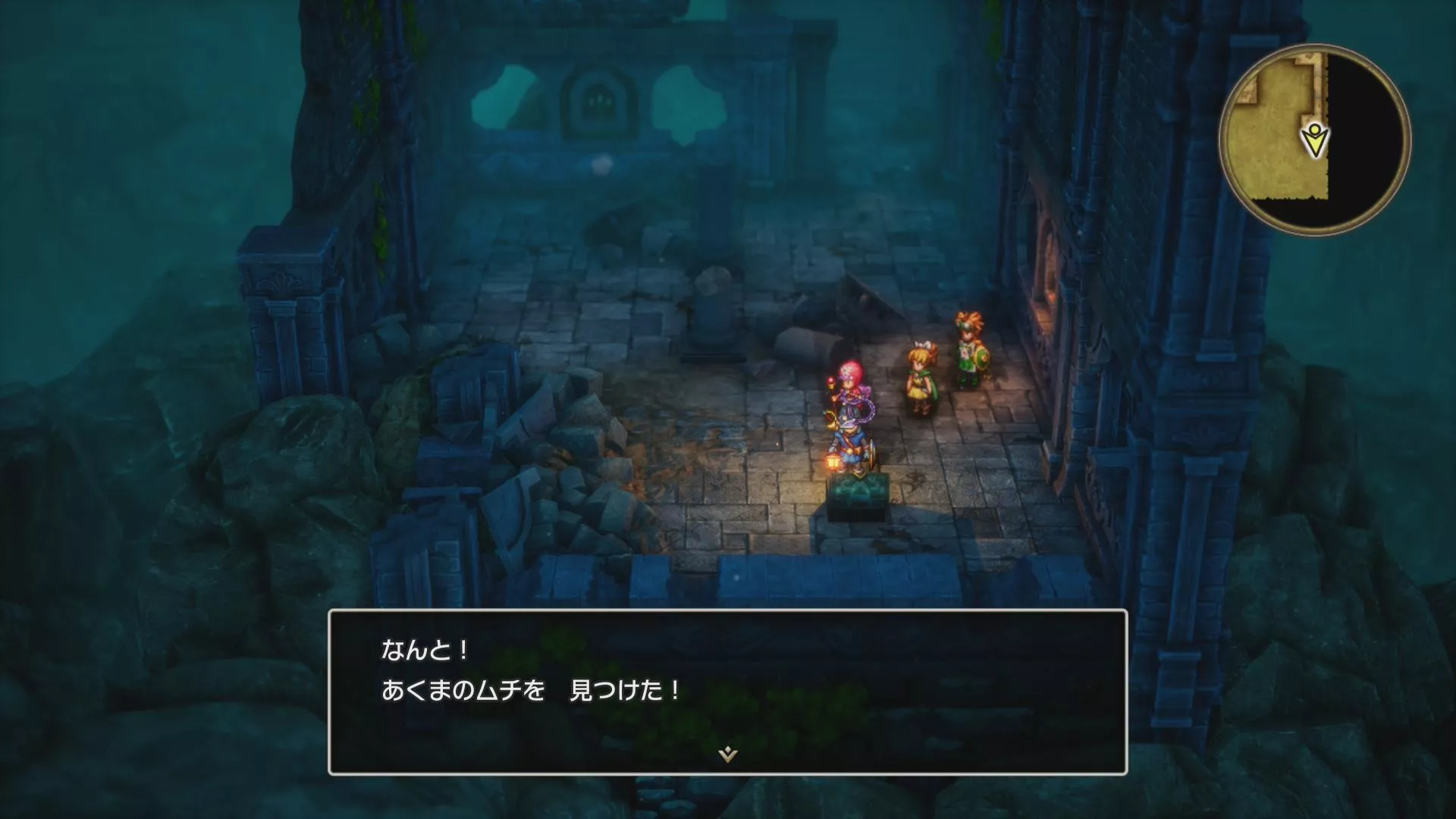 あくまのムチの入手している見た目