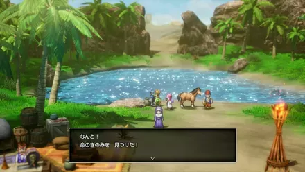 命のきのみの入手の様子