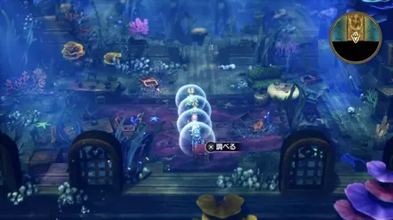 大海賊のコートの入手の様子