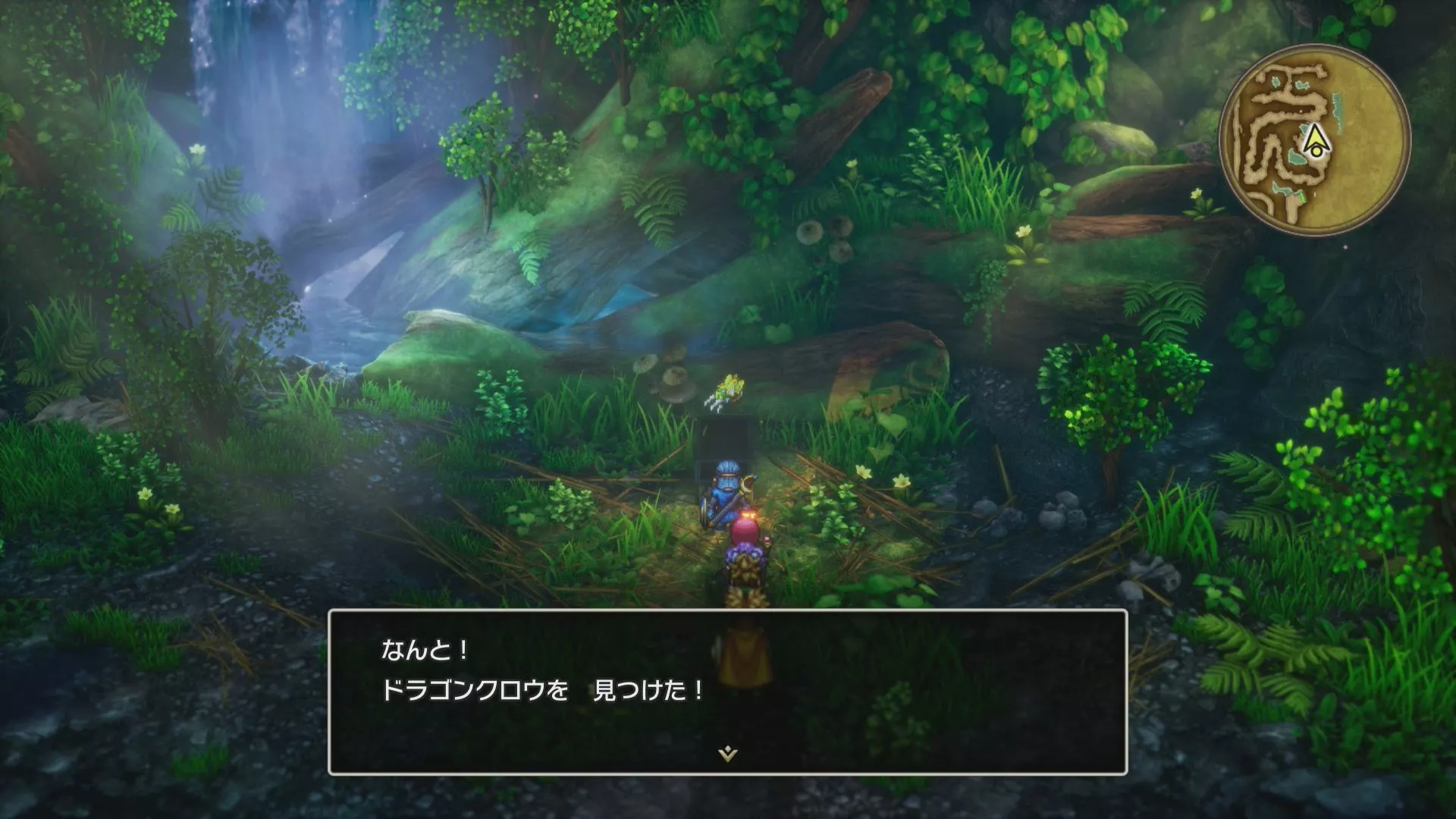 ドラゴンクロウの入手している見た目