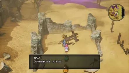 ふしぎなきのみの入手の様子